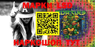 гашик Гатчина