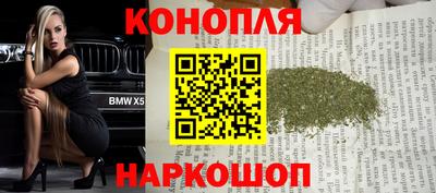 гашик Гатчина