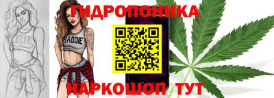 гашик Гатчина