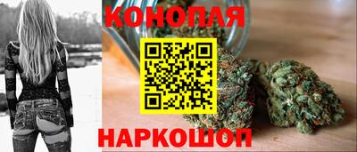 гашик Гатчина