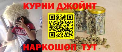 гашик Гатчина