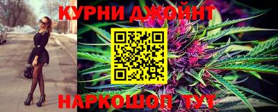 гашик Гатчина