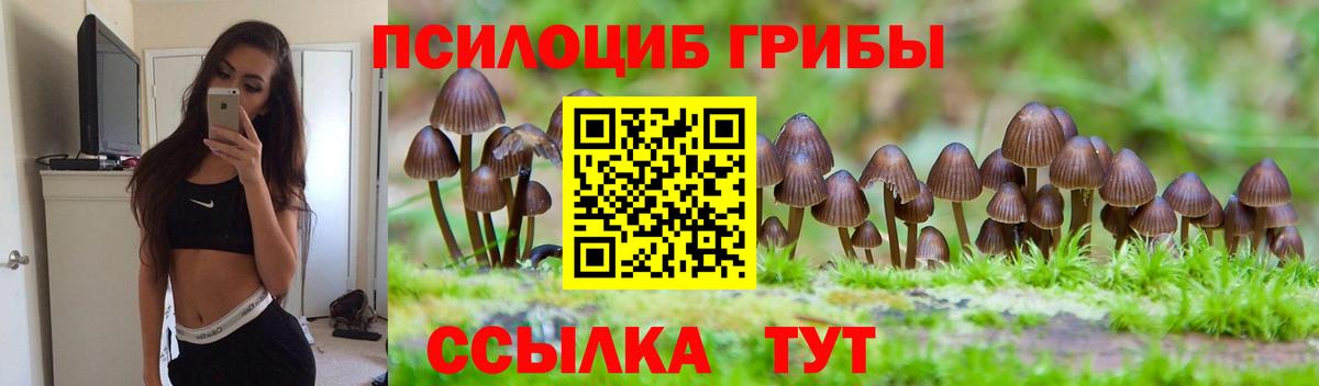 Псилоцибиновые грибы MAGIC MUSHROOMS  Вход с VPN  Белая Калитва  Галлюциногенные грибы Psilocybine cubensis 